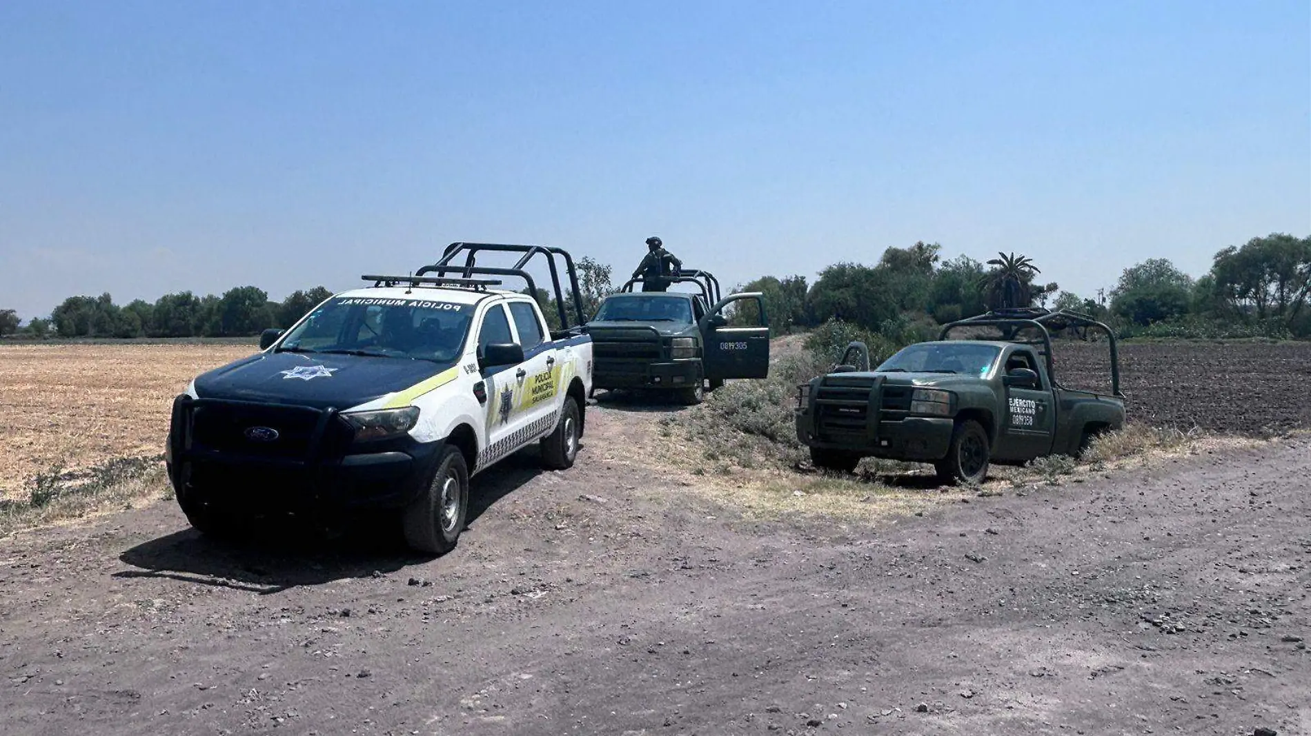 Serian cinco los cuerpos localizados en camino de terracería en Salamanca